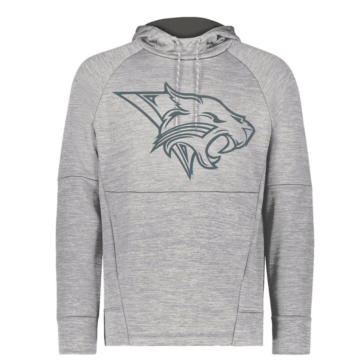 Men's All-Pro Performance Fleece Hooded Sweatshirt - grey