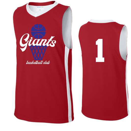 Youth/Adult Reversible Practive Jersey