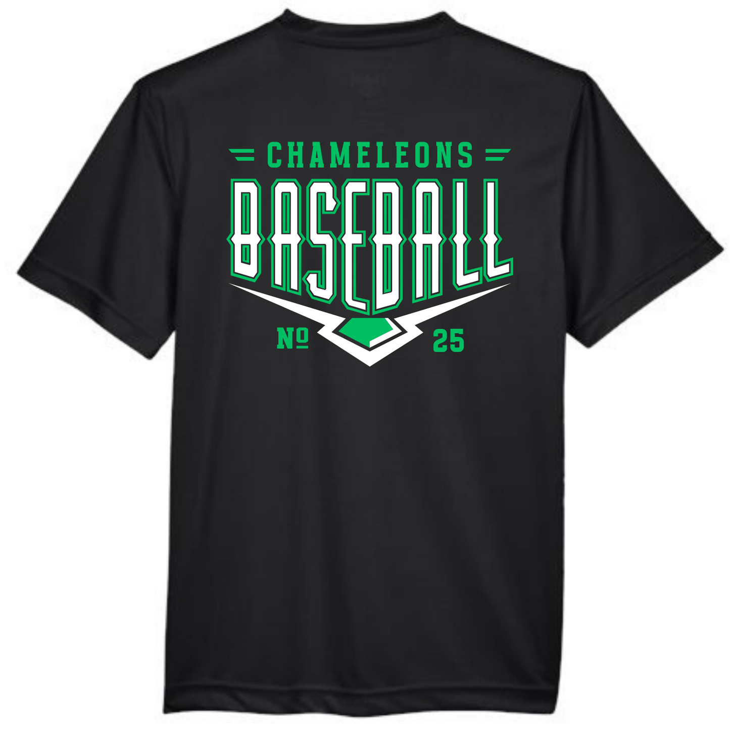 Chameleons Baseball Dri Fit Shirt