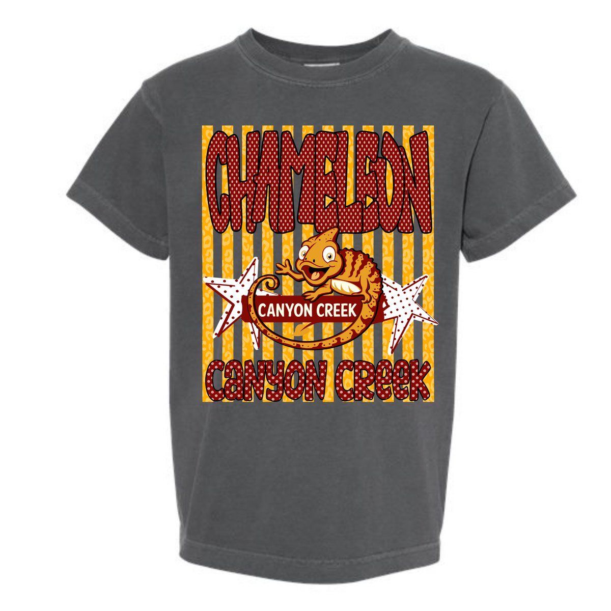 Canyon Creek T-Shirt - Striped Design