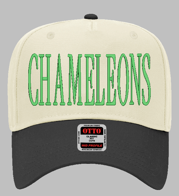 Two Tone Chameleons