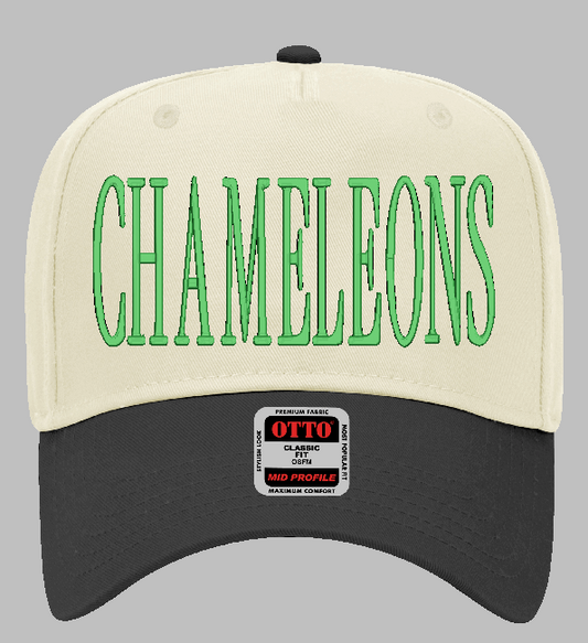 Two Tone Chameleons